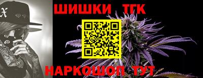 гидропоника Кингисепп