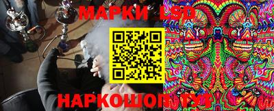 гидропоника Кингисепп