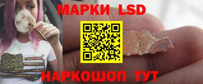 гидропоника Кингисепп