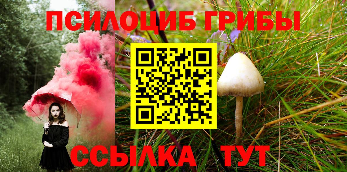 Псилоцибиновые грибы Cubensis  Вход с VPN  Костомукша 